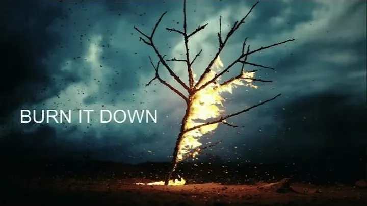 Official cover: SWIM - Burn It Down